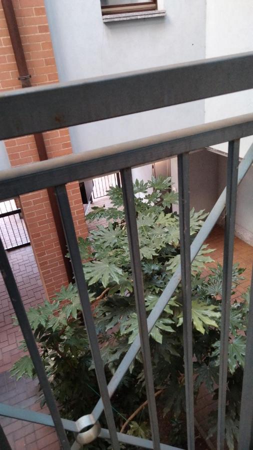 Ama Cityhouse Novara Zewnętrze zdjęcie